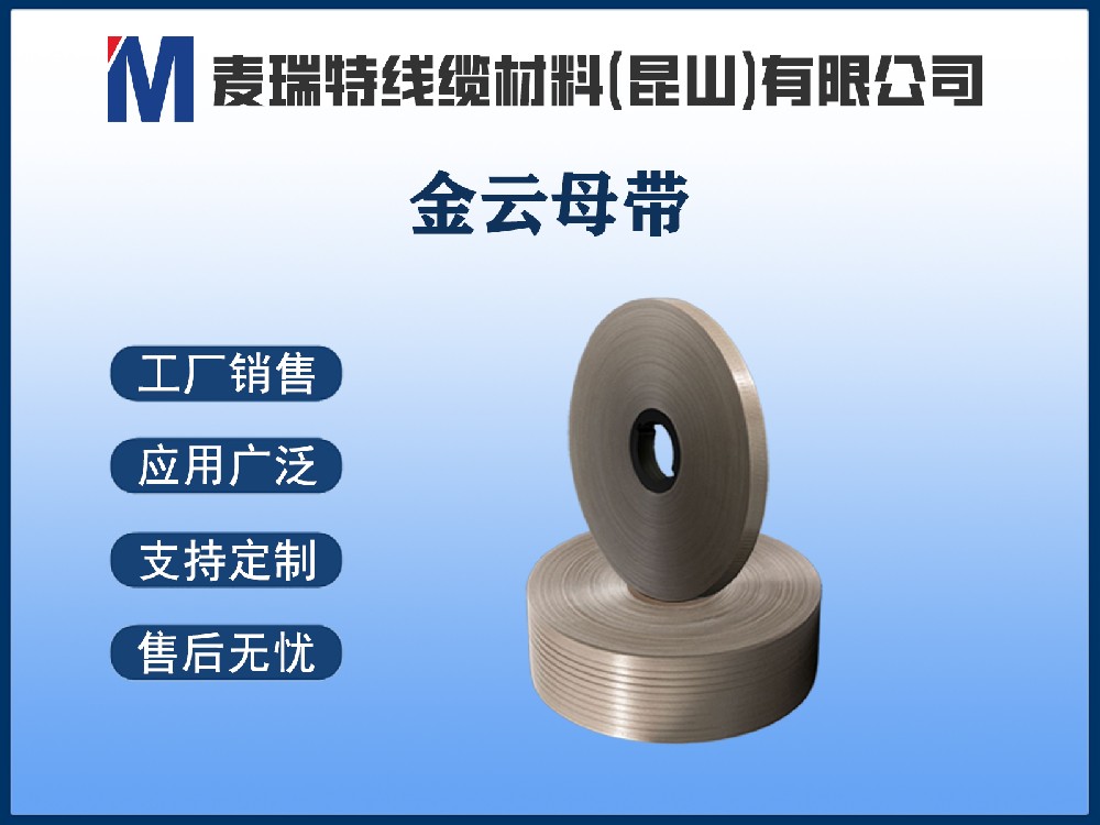 母排云母带
